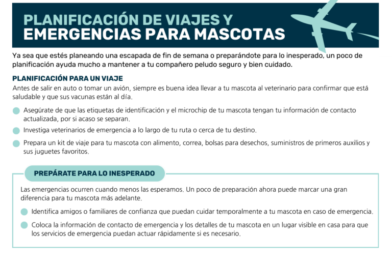 Primera página del folleto Planificación de Viajes y Emergencias para Mascotas