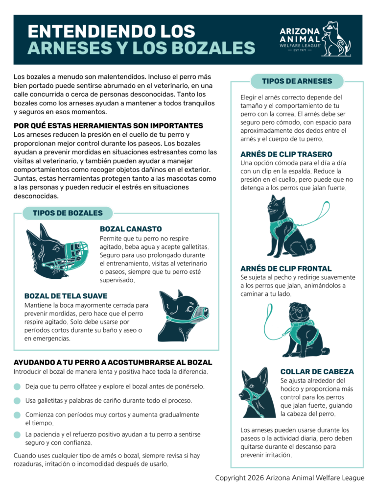 Primera página del folleto Entendiendo los Arneses y los Bozales