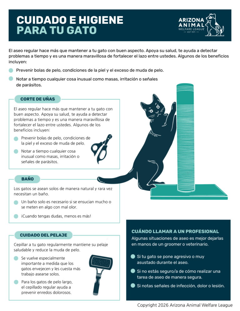Primera página del folleto Cuidado e Higiene para Tu Gato
