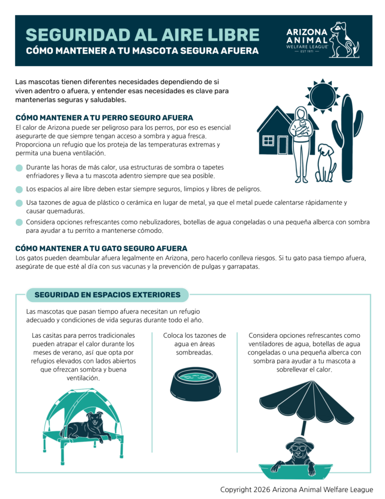 Primera página del folleto Seguridad al Aire Libre: Cómo Mantener a Tu Mascota Segura Afuera