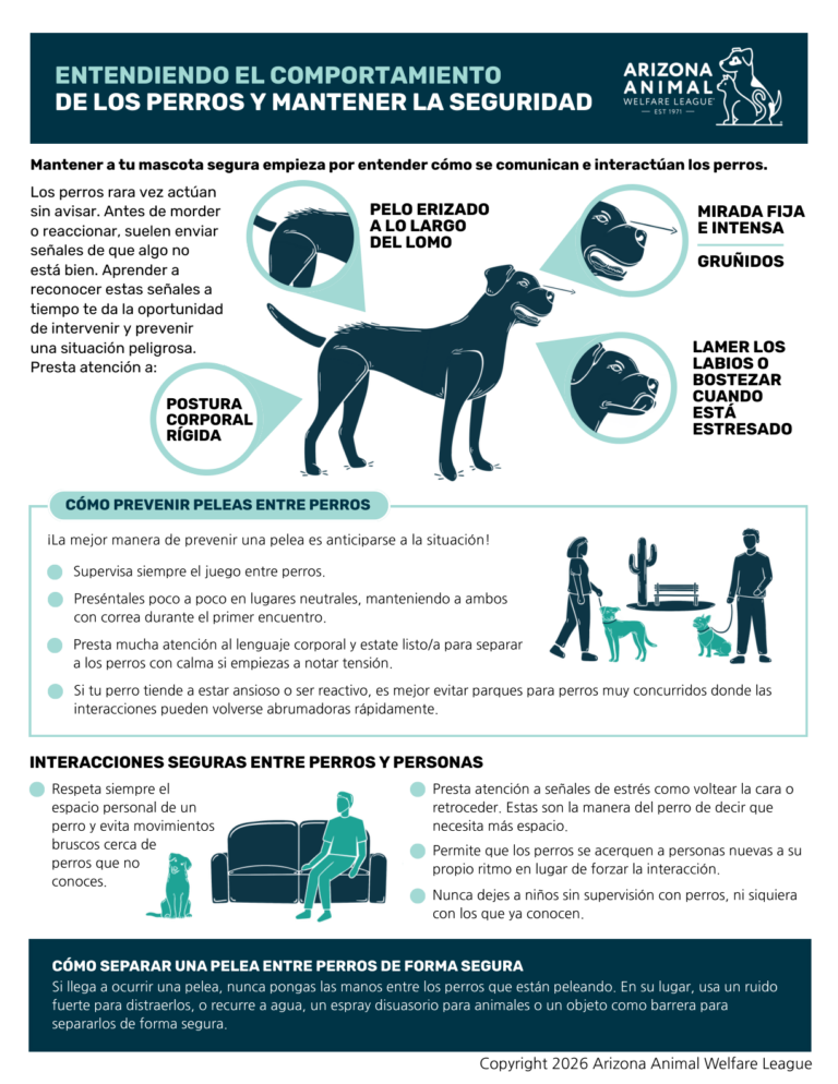 Primera página del folleto Entendiendo el Comportamiento de los Perros y Mantener la Seguridad