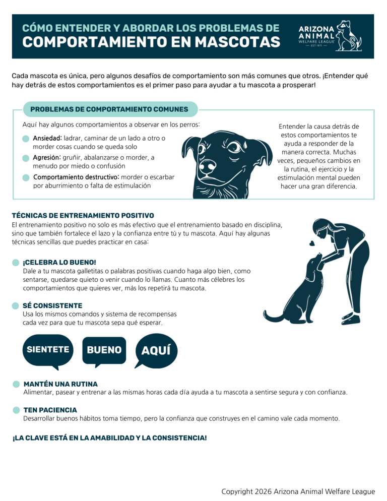 Primera página del folleto Cómo Entender y Abordar los Problemas de Comportamiento en Mascotas